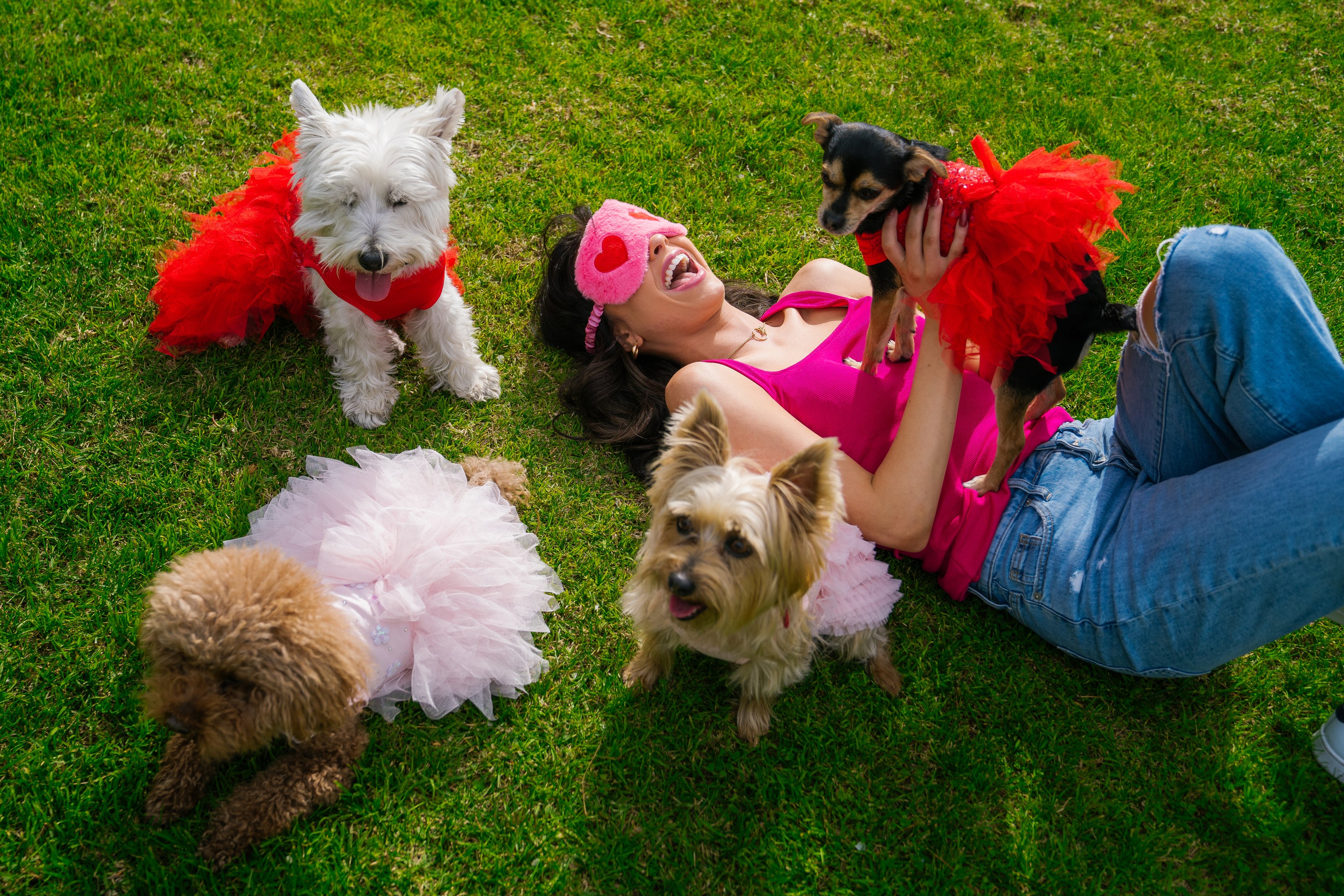 Unleash Your Dog's Inner Icon